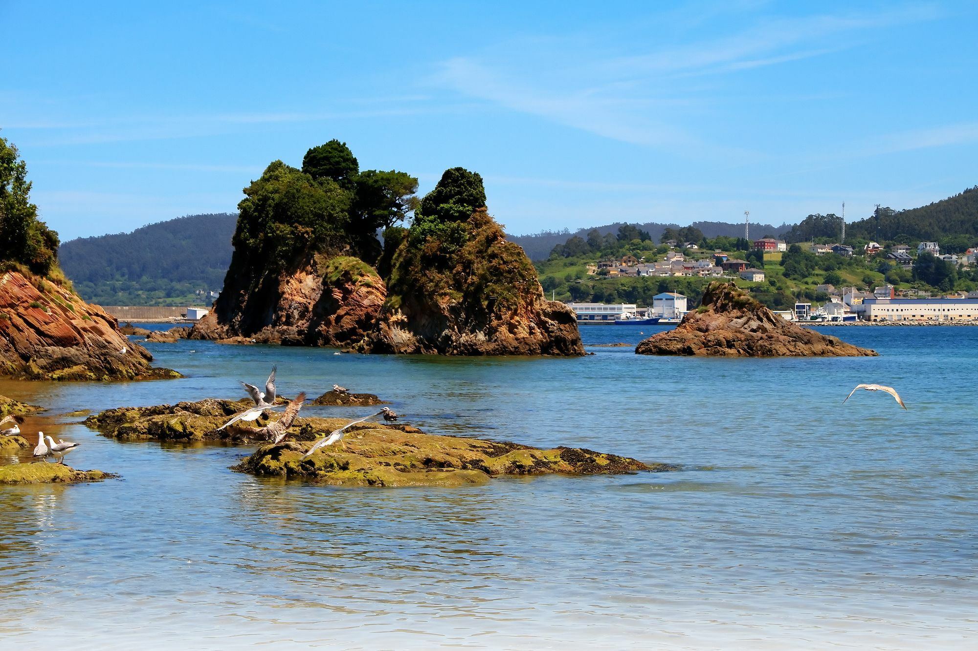 Duerming Sea View Viveiro Apartment Bagian luar foto